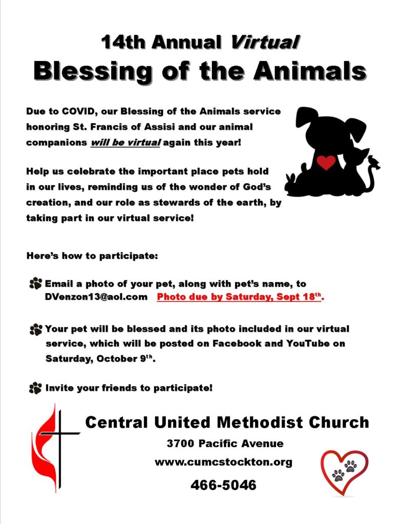 Blessing of the Animals Flyer